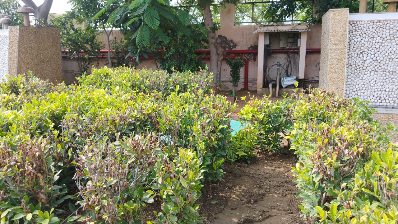 Dronacharya Engineering College farrukh nagar site image 2